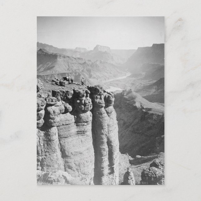 Homem e Donkey no cartão postal Grand Canyon (Frente)