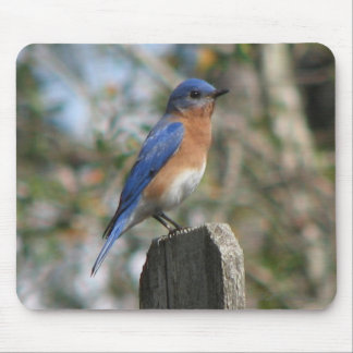 Homem oriental Mousepad do Bluebird