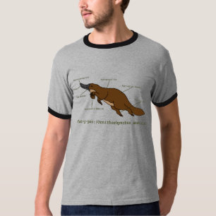 Homens que surpreendem a camisa de Platypus