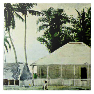 Homer - Cabins, Nassau, pintura famosa,