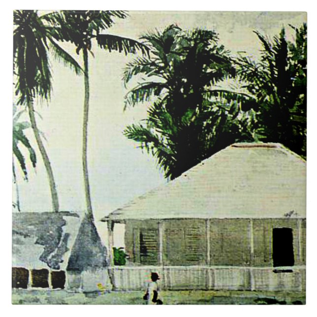 Homer - Cabins, Nassau, pintura famosa, (Frente)