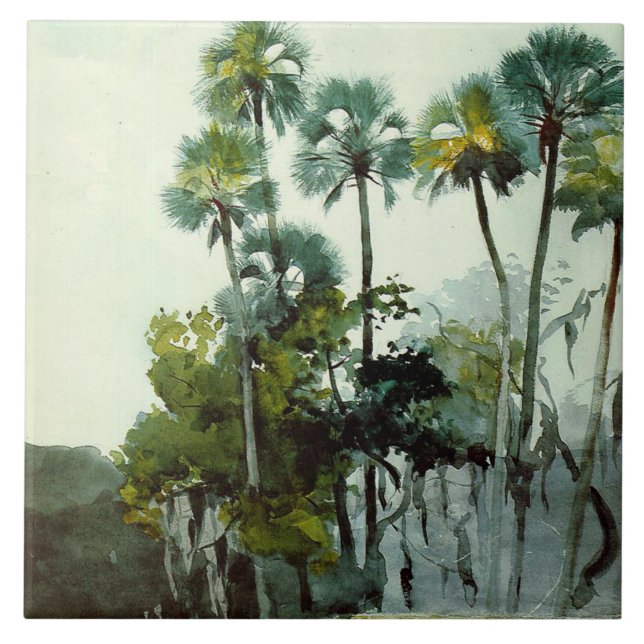 Homer - Rio Homosassa (Frente)