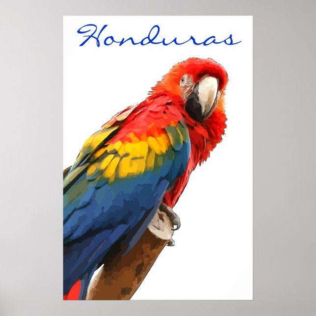 Honduras Scarlet Macaw Poster (Frente)