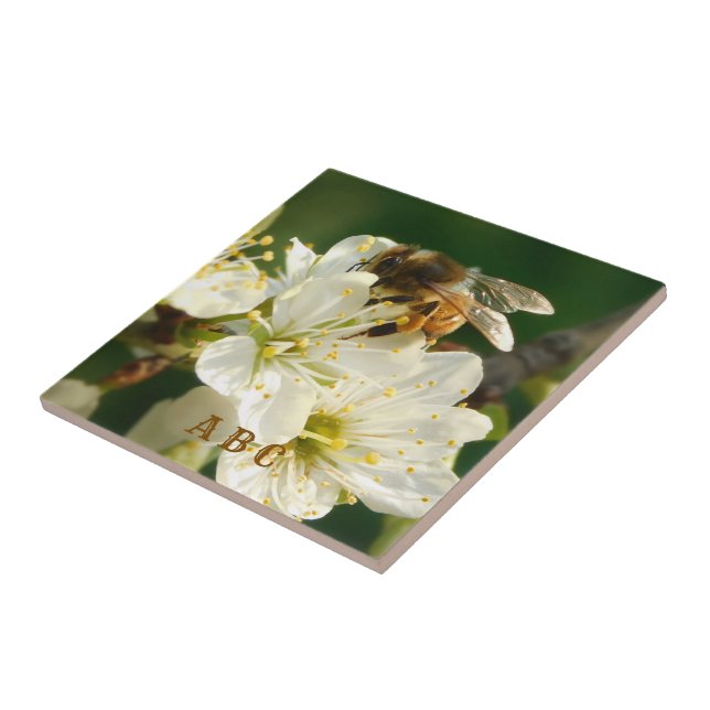 Honey Bee on Plum Blossom Ceramic Tile (Lateral)
