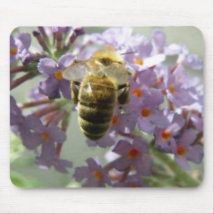 Honeybee Buddleia Flowers Mousepad