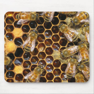Honeycomb e Bees Mousepad