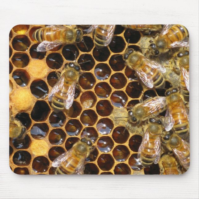Honeycomb e Bees Mousepad (Frente)