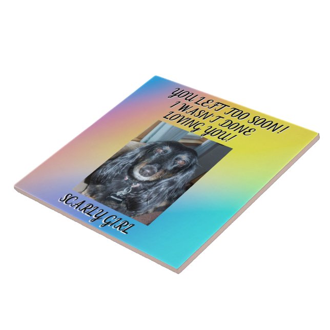 Honrando Seu Amado Pet: Memorial Sentido (Lateral)