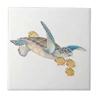 Honu (tartaruga de mar verde)