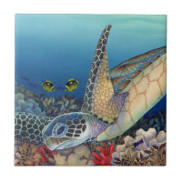 Honu (tartaruga de mar verde)