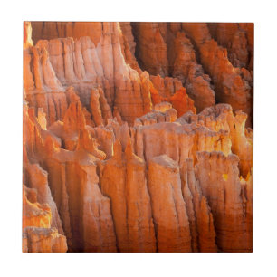 Hoodoos da rocha na luz da manhã