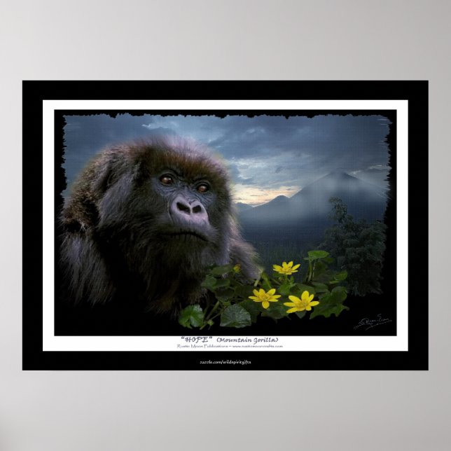 "HOPE" Montanha Gorilla Africa Willife Art Poster (Frente)