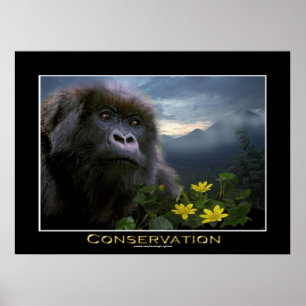 "HOPE" Montanha Gorilla Africa Willife Art Poster