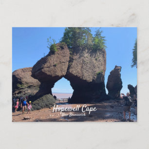 Hopewell Cape New Brunswick Cartão Postal