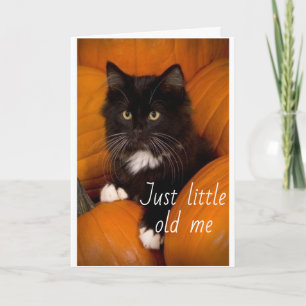 HORA DE CELEBRAR O SEU CARTÃO DE ANIVERSÁRIO DE 50