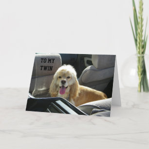 HORA DE COMEMORAR COM O MEU CARTÃO DE ANIVERSÁRIO