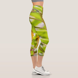 Hora de construir o ninho