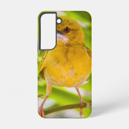 Hora de construir o ninho