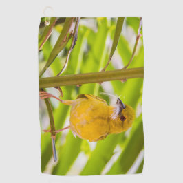 Hora de construir o ninho