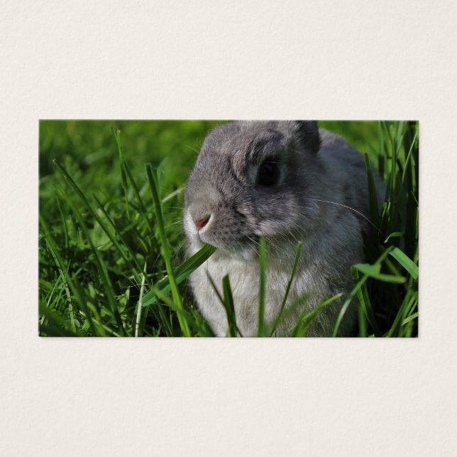 Hora do snack (Frente)