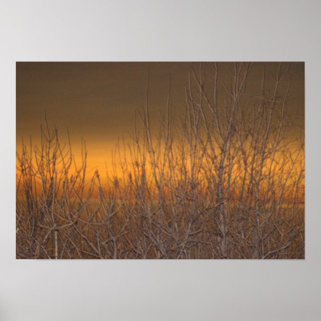 Horizonte sobre o Lago Erie Poster (Frente)