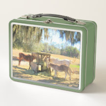 Horos e Horário de almoço do Donkey 