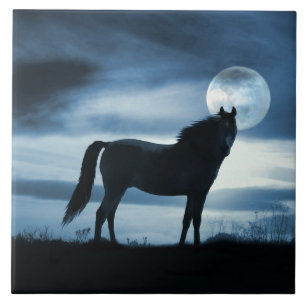 Horse and Moon Art