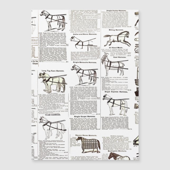 Horse Antique Advertising Newpaper Art (Frente)