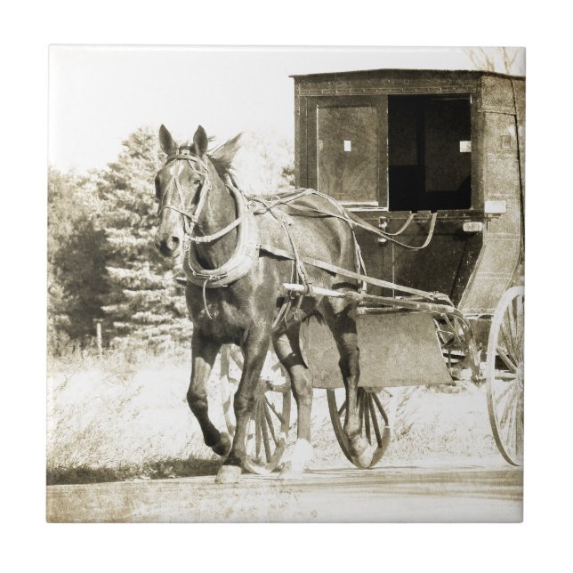 Horse e Buggy Sepia (Frente)