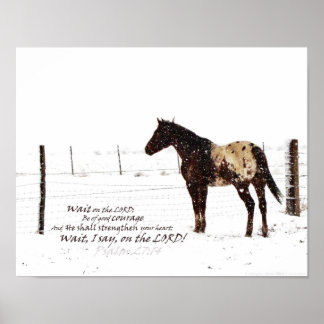 Horse e Escritura de inverno - Poster de Matte 11x
