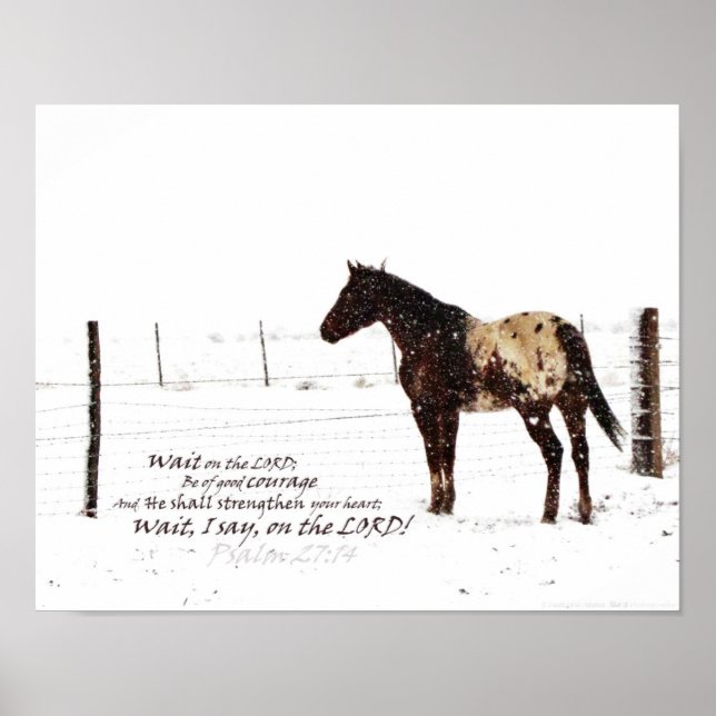 Horse e Escritura de inverno - Poster de Matte 11x (Frente)