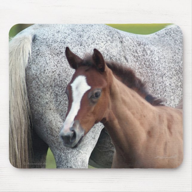 Horse Foal Art Mousepad (Frente)