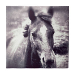 Horse Grunge