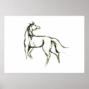 Horse Illustration Poster