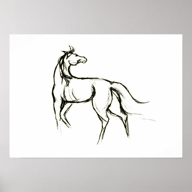 Horse Illustration Poster (Frente)
