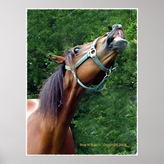 Horse Laugh Poster (Frente)