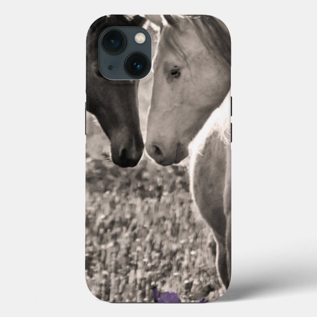 Horse Love (Verso)