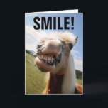 HORSE LOVER FUNNY BIRTHDAY GREETING CARTÕES<br><div class="desc">SORRIR! É SEU ANIVERSÁRIO! CARTÕES DE RETORNO DE CAVALO</div>