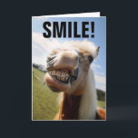 HORSE LOVER FUNNY BIRTHDAY GREETING CARTÕES<br><div class="desc">SORRIR! É SEU ANIVERSÁRIO! CARTÕES DE RETORNO DE CAVALO</div>