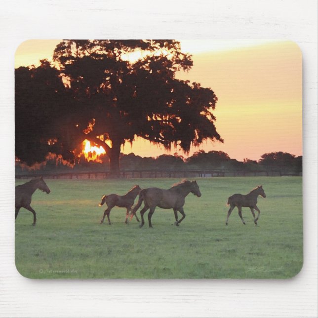 Horse Sunset Art Mousepad (Frente)