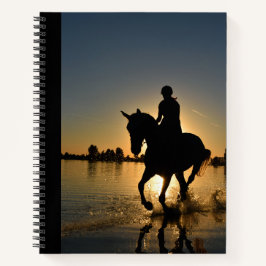 Horse Sunset Ride Daytime Nighttime Correndo Bonit