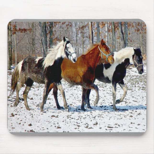 Horse Trio Mousepad (Frente)