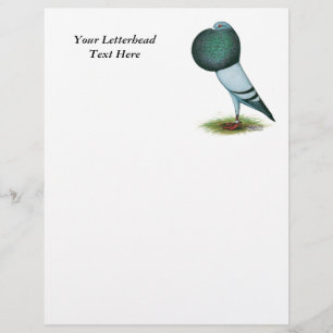 Horseman Pouter Pigeon Blue