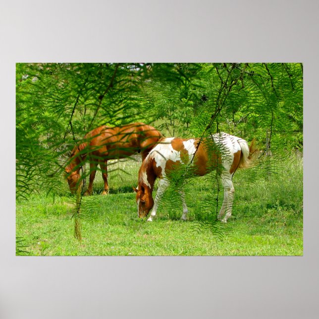 Horses Green Leaves 11 x 85 Poster (Frente)