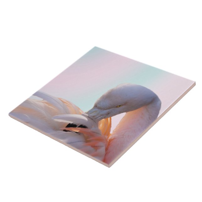 Hortelã cor-de-rosa do flamingo (Lateral)