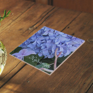 Hortênsia de Cabeça Azul Floral