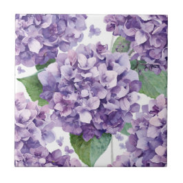 Hortênsia Roxa Aquarela Floral Flor de Lavanda