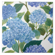 Hortênsias Azuis | Belo Arbusto Floral