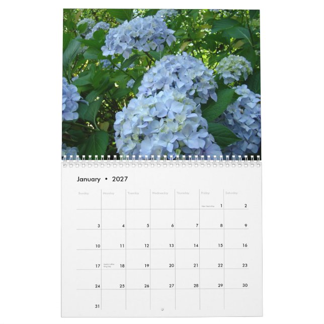 HORTÊNSIAS Rosas Brancas Samambaias Calendário Pro (Jan 2027)