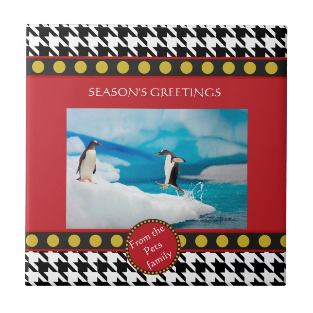 Horto natalino Dogtooth, Houndstooth (Frente)